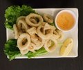 A05 Calamari