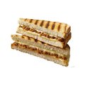 Tosti Vlamini