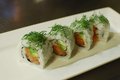 Ocean Roll