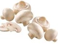 Pizza Funghi