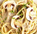 Crema Di Fungi