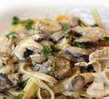 Fungi E Gorgonzola
