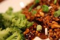 Tempeh Cashew *