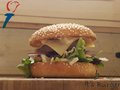 De VrijheidsBurger