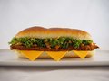Fanburger Duitsland XXL