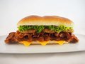 Fanburger Mexico XXL