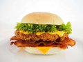Chicken Joppie Crunch Burger
