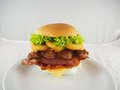 Fanburger Porc rib XXL