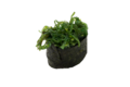 gunkan Chuka wakame