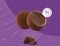 Chocolate Ice Mochi