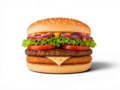 The Fusion Burger