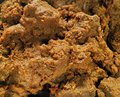 Daging Rendang 100 gram