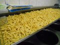 Friet Middel
