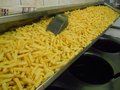 Friet klein