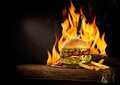 Mexicano Burger