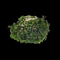 Chuka wakame