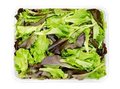 Losse menu salade