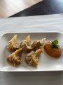 Chicken Momos (5stuks)
