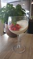 Panna cotta