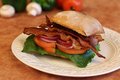 Gourmet B.L.T.O. Sandwich