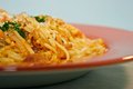 Linguine Chicken Tetrazzini Pasta