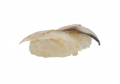 Saba nigiri (makreel)