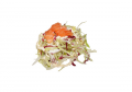 Sake salade