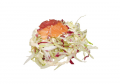 Sashimi salade