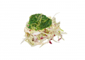 Chuka wakame salade