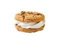 2 Milk chocolate cookie met softijs