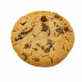Milk chocolate cookie