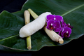 Lemper