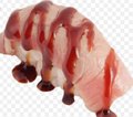 Flamed tonijn nigiri