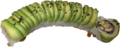 Soft shell chicken Uramaki