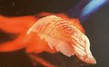Flambe salmon