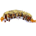 Zwarte Dragon Uramaki