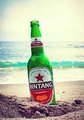 Bier bintang