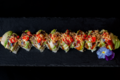 Dragon Roll 40A