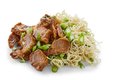 72. Hoisin Pork met Woknoodles