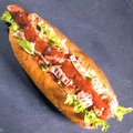 BLT Ranch Dog