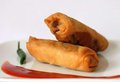 Bucket roll (veggie loempia)