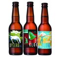 Brouwerij Martinus