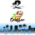 Vers gember bier