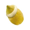 Frozen Lemon