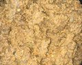 Daging rendang
