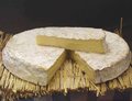 Brie de Meaux 100 gram