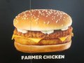 FARMER CHICKEN
