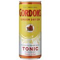 Gordon´s Gin & Tonic