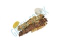 Pork Souvlaki Stick 4oz