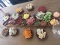 Tapasplank